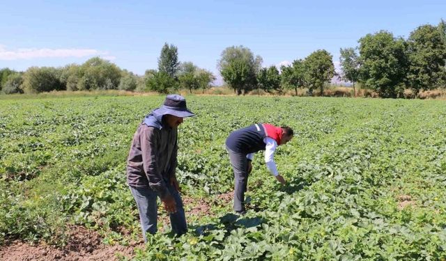 ÇKS Başvuruları 31 Aralık’ta Sona Eriyor