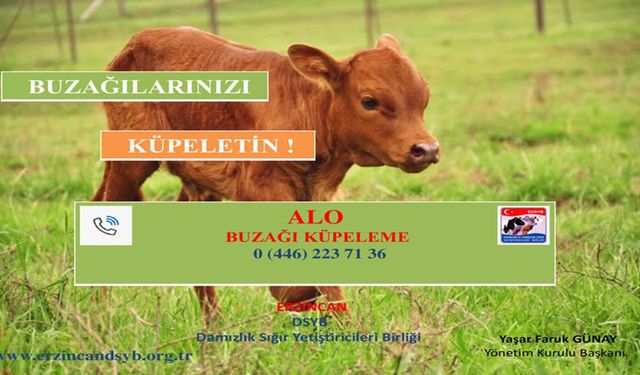 ‘Buzağılarınızı Küpeletin!’