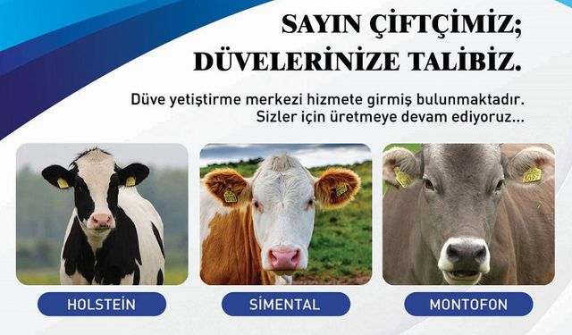 Erzincan’da Düve Yetiştirme Merkezi Hizmete Girdi