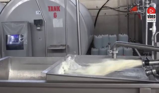 Süt Analiz Merkezi Üreticilere Bilimsel ve Teknik Destek Sağlıyor