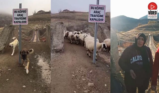 Şahintepe’de Köprü İhtiyacı Sadece Köylüler İçin Değil, Bölge Ekonomisi İçin de Hayati