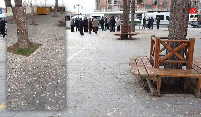 Kuş Pislikleri Arasında Cenaze Namazı!