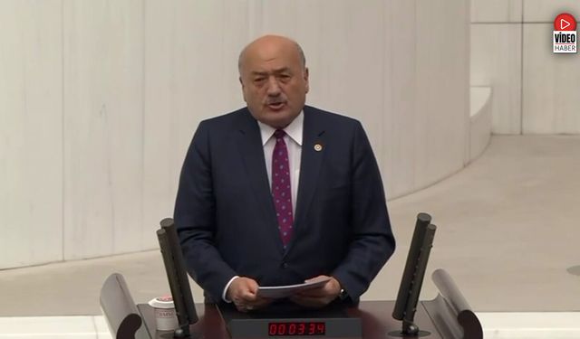 Milletvekili Karaman TBMM’de Konuştu