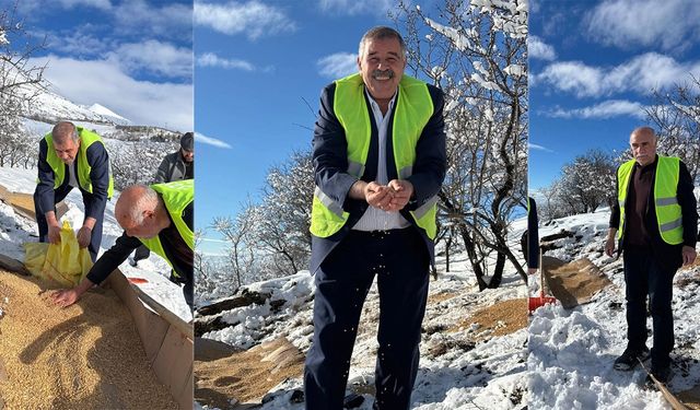 Cimin’de Doğadaki Canlılara Yem Desteği
