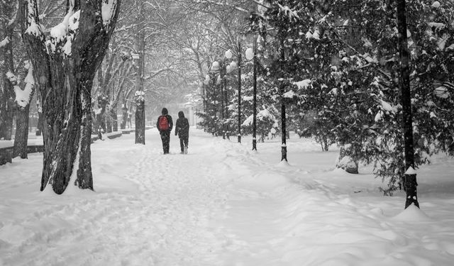 Erzincan'da Yüksek Kesimlerde Kar Bekleniyor