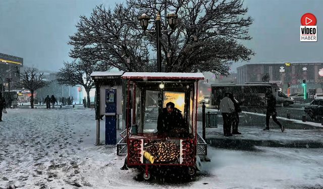 Erzincan'da Lapa Lapa Kar Yağışı