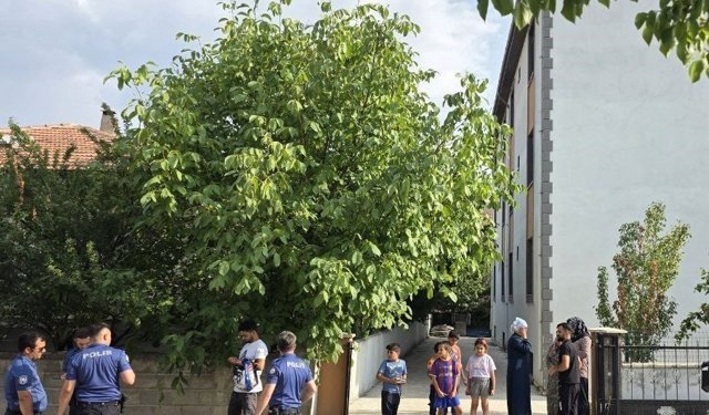 3. Kattan Düştü, 3 Ay Sonra Acı Haber Geldi