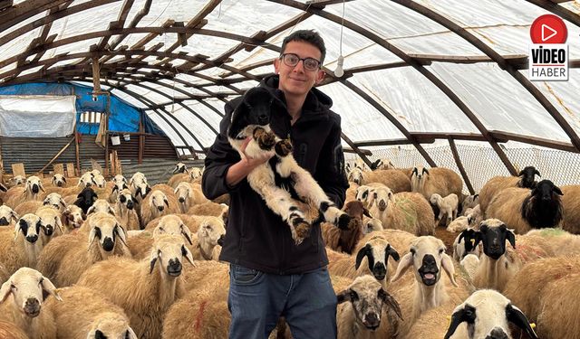 Kemah'ta Genç Yetiştiricinin Örnek Üretimi