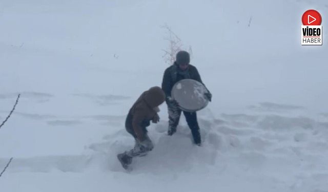 Karla Kaplı Bahçede Talihsiz Anlar