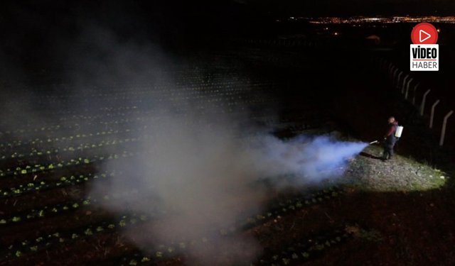 Erzincan'da Çiftçiler Ürünlerini Dumanlama Yöntemi İle Korudu