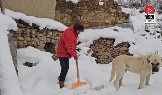 Erzincan'da Hava Soğudu, Yüksek Kesimlere Kar Yağdı