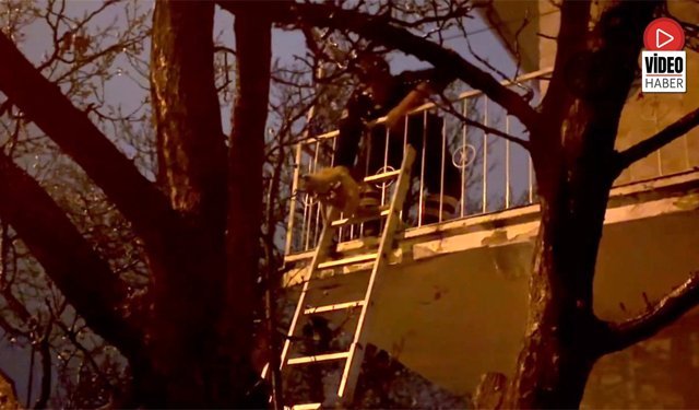 Mahsur Kalan Kedi Kurtarıldı