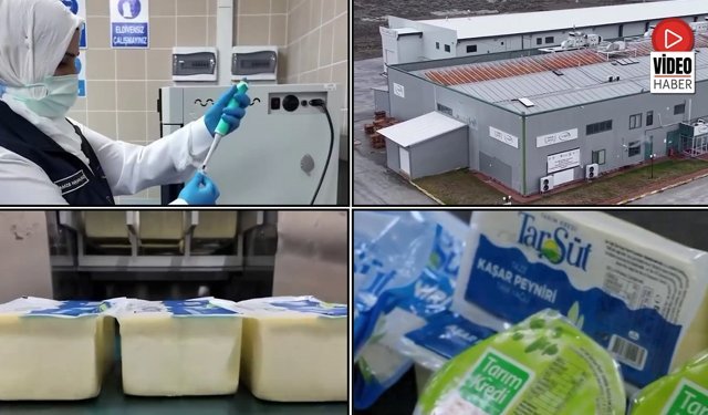 Erzincan'ın Üretim Gücü Türkiye'nin Sofralarında