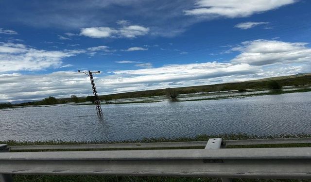 Tercan'da Yağışlar Nedeniyle Tarım Arazilerini Su Bastı