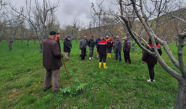 Otlukbeli'nde Üreticilere Meyve Ağaçlarında Budama Eğitimi