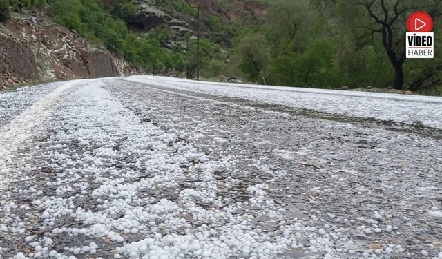 Çayırlı'da Dolu Yağışı Etkili Oldu