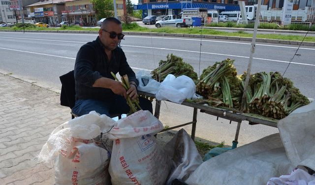 Yaylalardan Toplandı, Tezgâhlarda Satışa Sunuldu