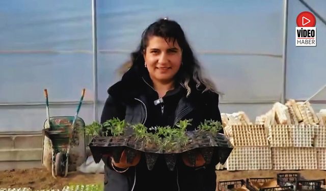 Erzincan Toplu Sera Bölgesi’nde Üretim Başladı