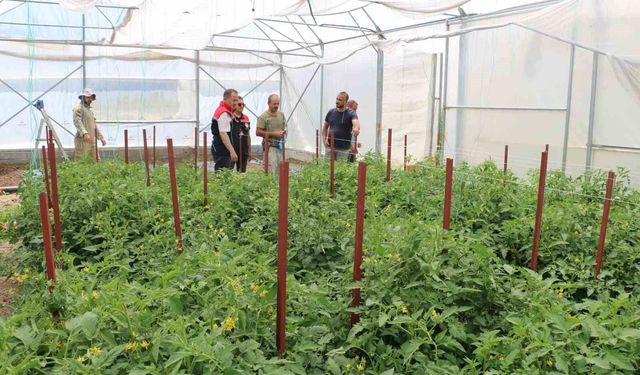 Erzincan Bölge Seracılığının Merkezi Oluyor