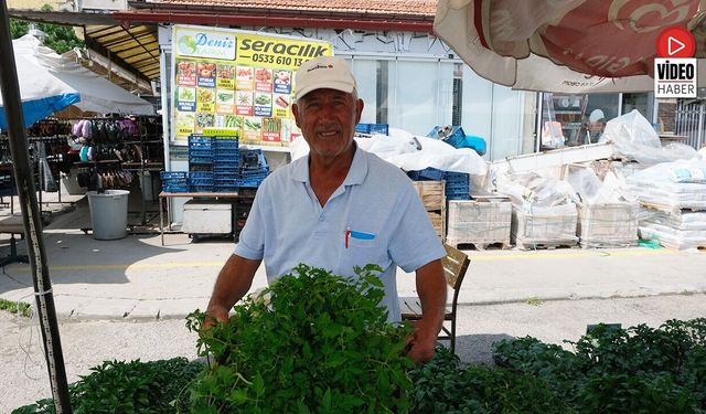 Erzincan'da Fide Sezonu Kapanıyor