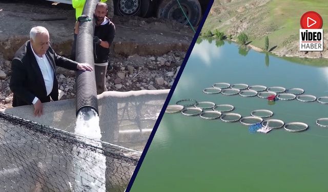 Tercan'da Yavru Alabalıklar Göle Salındı