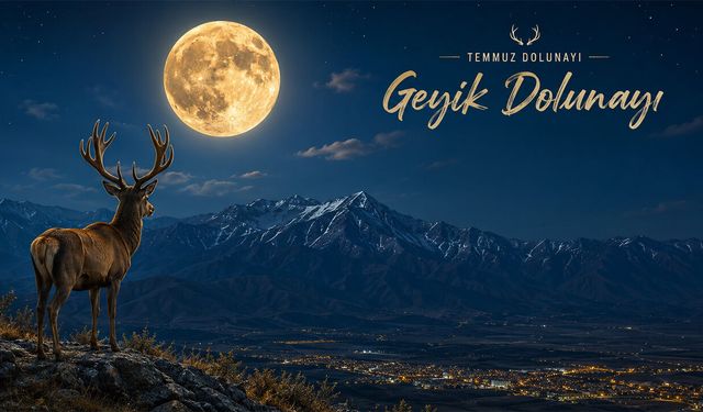 Erzincan'da Geyik Dolunayı Heyecanı Yaşandı