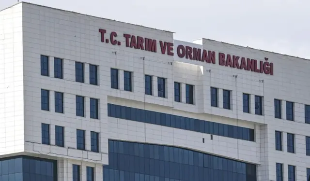 Taşra Teşkilatına Personel Alımı Yapılacak