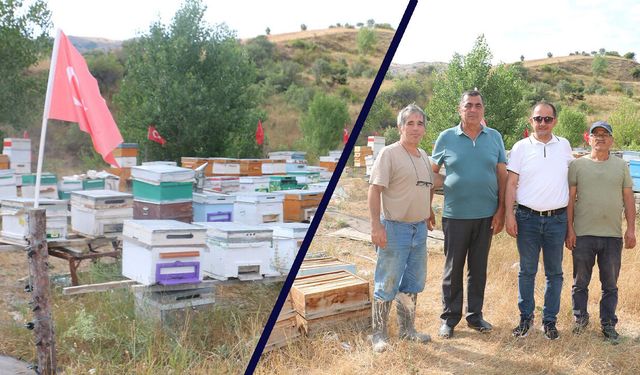 Bal Üretiyor, Arılığını Türk Bayraklarıyla Süsliyor