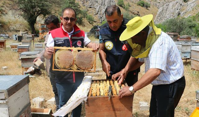 Erzincan’da 1.500 Ton Bal Rekoltesi Bekleniyor