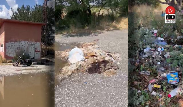 İnsanların Su İçip Dinlendiği Alanı Çöplüğe Çevirdiler!