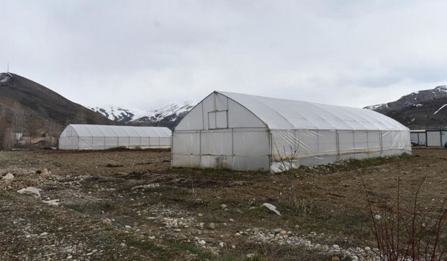 Erzincan'da Sera Örtüsü Yenileme Desteği Başvuruları Uzatıldı