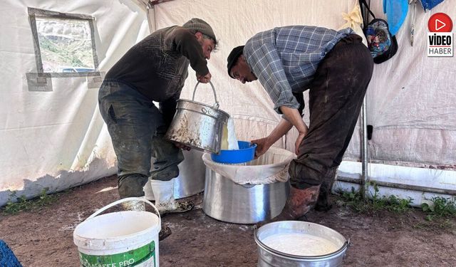Erzincan Tulum Peyniri Büyük Emekle Üretiliyor