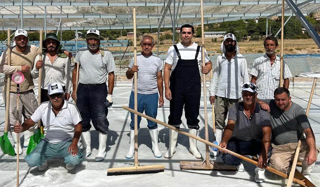 Kemah Kaymakamı Tutay, Tuz Hasadına Katıldı