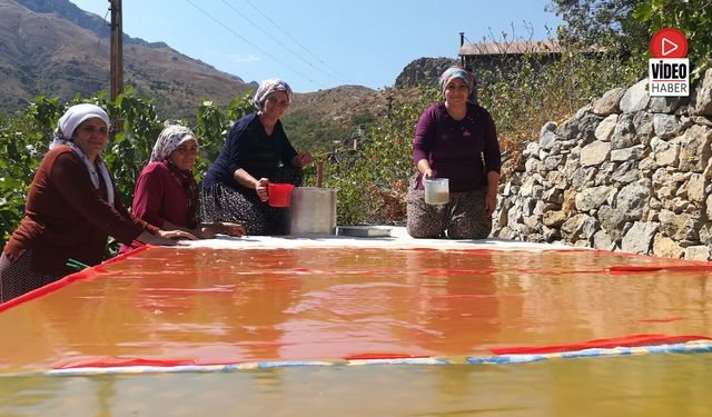 Kemaliye'de Kadınlar Pestili İmece Usulü Hazırlıyor