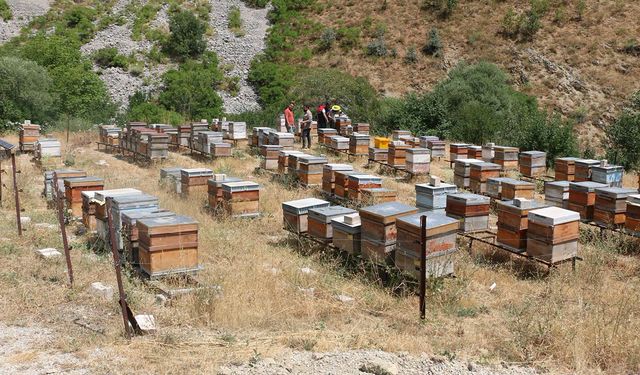 Arıcılık Destekleme Takvimi Güncellendi: Son Başvuru 6 Kasım