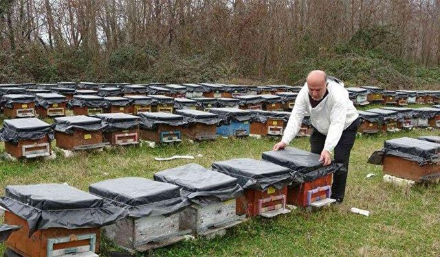 Erzincan'da Arıcılıkta Kışlatma Hazırlıkları Başlıyor