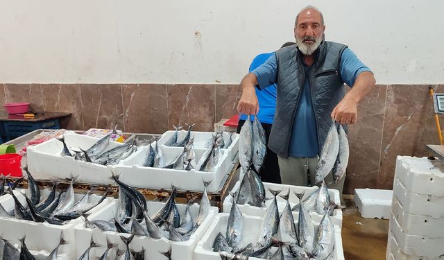 Erzincan’da Palamut Tezgahta Durmuyor