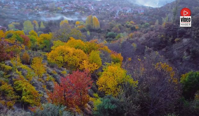 Dereboğazı’nda Sonbahar Büyüsü