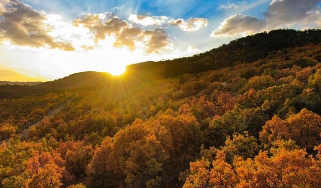 Erzincan’da Sonbahar Renkleri Başladı