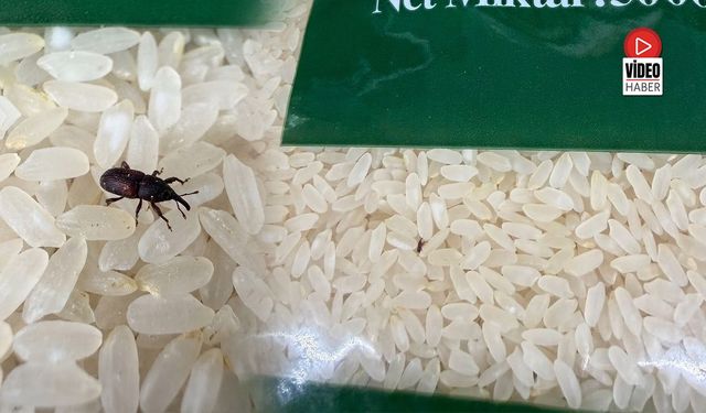 Erzincan’da Pirinç Paketinden Böcek Çıktı!