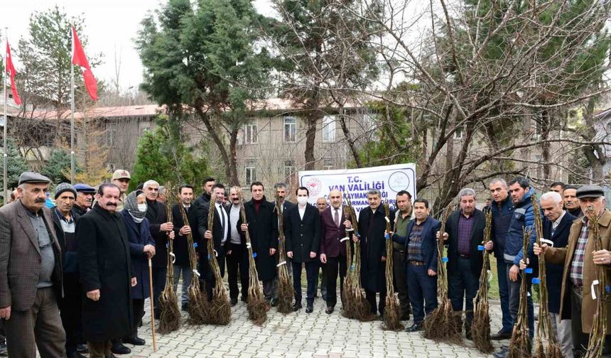 Çatak’ta 19 bin 250 ceviz fidanı dağıtıldı