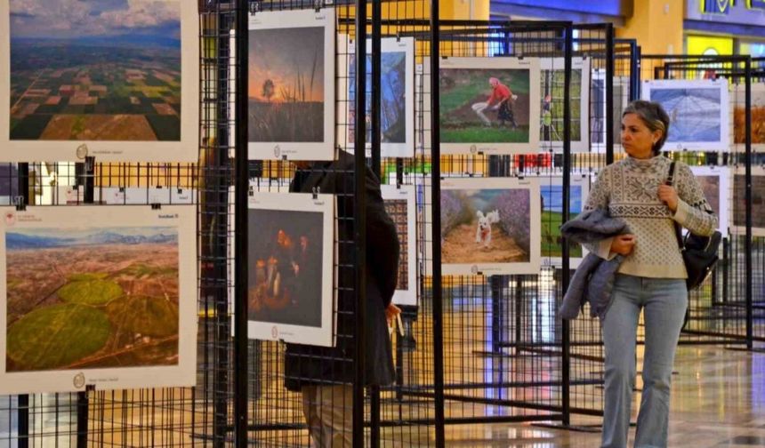 "14. Uluslararası Tarım, Orman ve İnsan Fotoğraf" Yarışması'na başvurular başladı