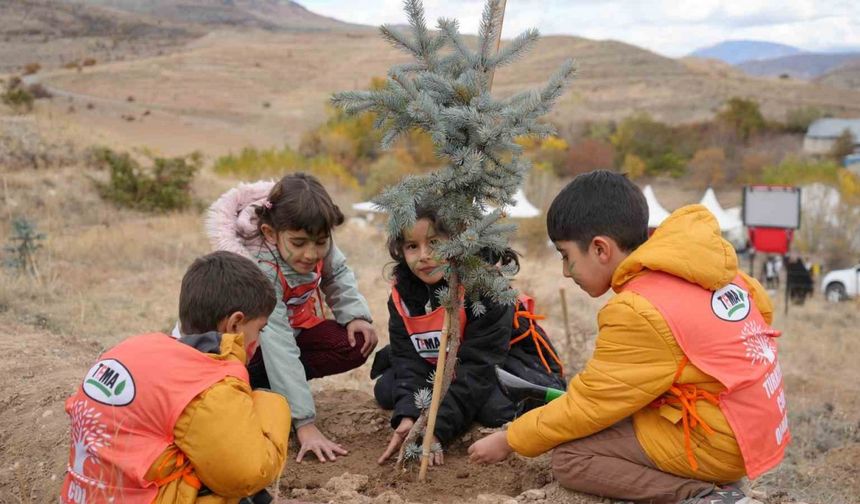 Erzincan’da 50 Bin Fidan Toprakla Buluştu