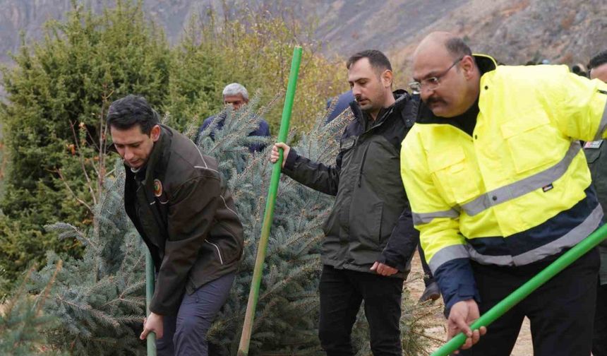 Kemaliye’de Geleceğe Nefes İçin Fidan Dikildi