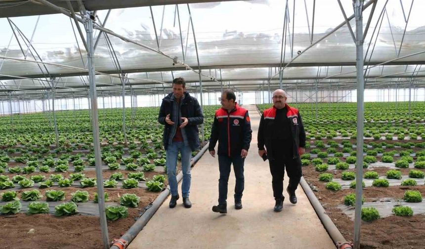 Erzincan seralarında yılda 3 ürün dönemi