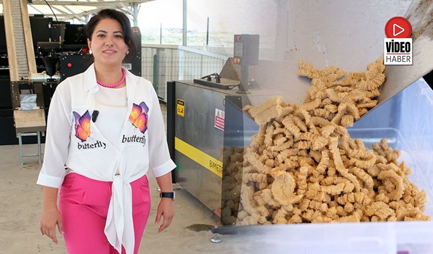 Erzincan’da Yemek Atıkları Sokak Hayvanlarına Mama Oluyor