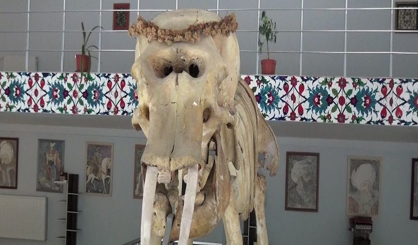 Kemaliye’deki Müzede Bulunan Objeler Arşivlendi