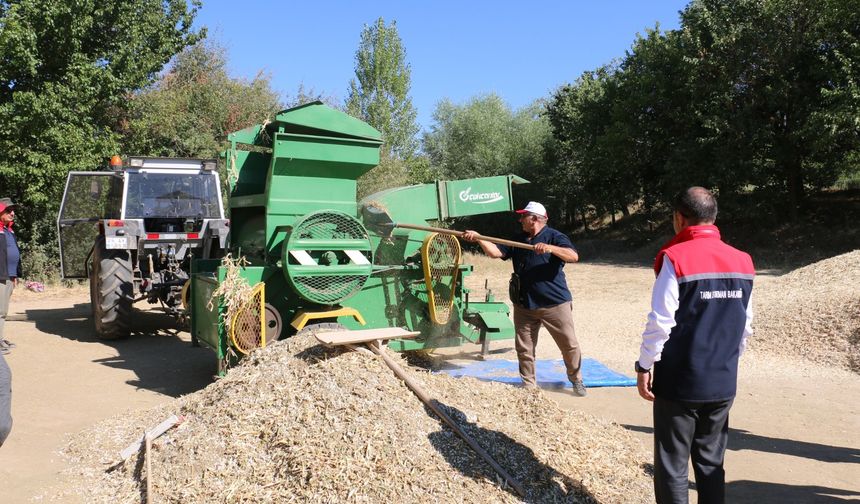 Erzincan’da Kuru Fasulyede Harman Zamanı
