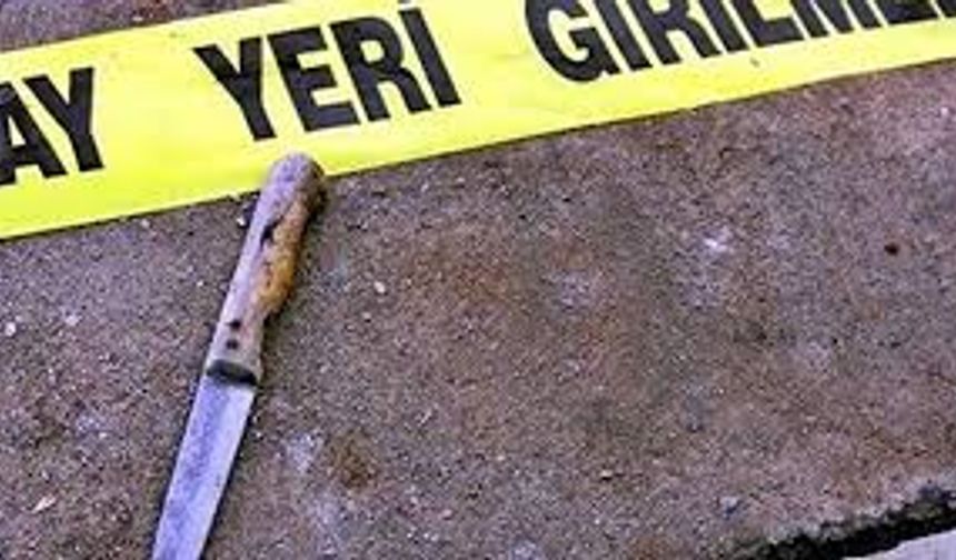 Çayırlı İlçesindeki Bıçaklı Kavgada 1 Kişi Hayatını Kaybetti