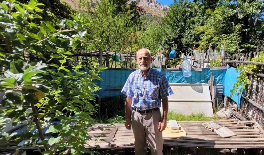 Bahçelere Zarar Veren Ayıları Yetkililere Şikâyet Etti